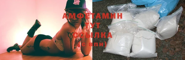 гидра Медвежьегорск