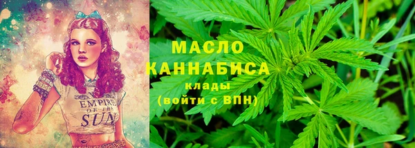 гидра Медвежьегорск