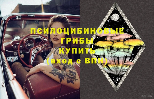 метадон Мегион