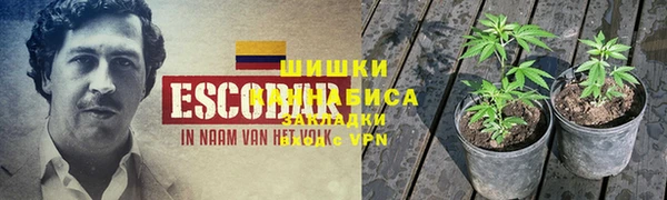прущая мука Белокуриха