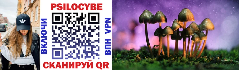 цена наркотик  hydra tor  Галлюциногенные грибы Psilocybine cubensis  Черноголовка 