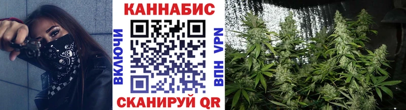купить наркотик Черноголовка Конопля OG Kush